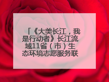 《大美长江，我是行动者》长江流域11省（市）生态环境志愿服务联动活动在江苏南通成功启动