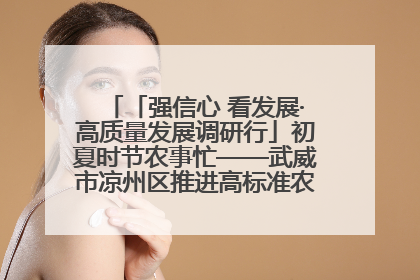 「强信心 看发展·高质量发展调研行」初夏时节农事忙——武威市凉州区推进高标准农田建设见闻