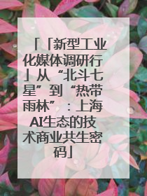 「新型工业化媒体调研行」从“北斗七星”到“热带雨林”：上海AI生态的技术商业共生密码