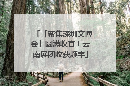 「聚焦深圳文博会」圆满收官！云南展团收获颇丰