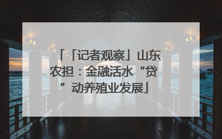 「记者观察」山东农担：金融活水“贷”动养殖业发展
