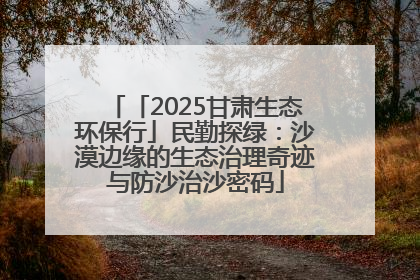 「2025甘肃生态环保行」民勤探绿：沙漠边缘的生态治理奇迹与防沙治沙密码