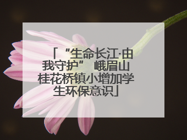 “生命长江·由我守护” 峨眉山桂花桥镇小增加学生环保意识