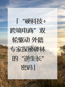“硬科技+跨境电商”双轮驱动 外籍专家探秘碑林的“逆生长”密码