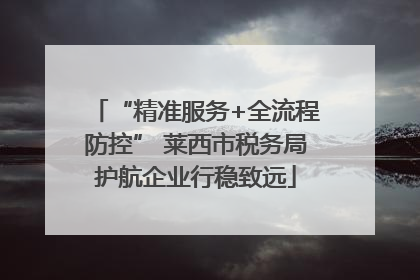 “精准服务+全流程防控” 莱西市税务局护航企业行稳致远
