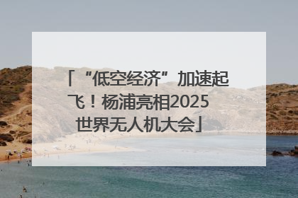 “低空经济”加速起飞！杨浦亮相2025世界无人机大会