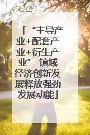 “主导产业+配套产业+衍生产业” 镇域经济创新发展释放强劲发展动能