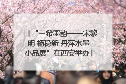 “三希墨韵——宋黎明 杨稳新 丹萍水墨小品展”在西安举办