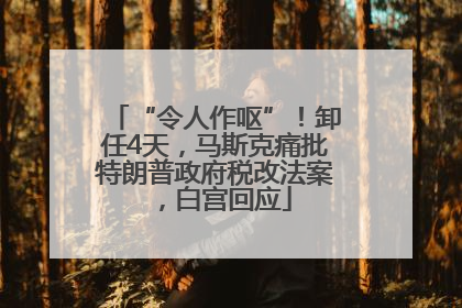 “令人作呕”！卸任4天，马斯克痛批特朗普政府税改法案，白宫回应