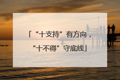 “十支持”有方向，“十不得”守底线