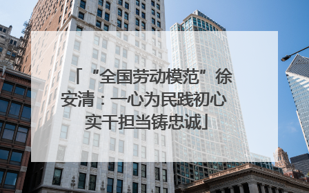 “全国劳动模范”徐安清：一心为民践初心 实干担当铸忠诚