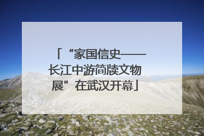 “家国信史——长江中游简牍文物展”在武汉开幕