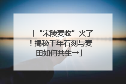 “宋陵麦收”火了！揭秘千年石刻与麦田如何共生→