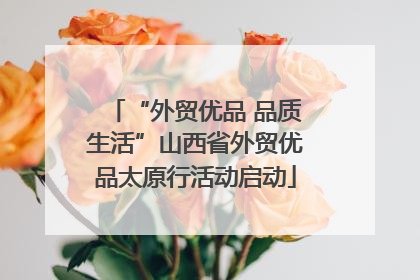 “外贸优品 品质生活”山西省外贸优品太原行活动启动
