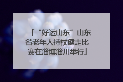 “好运山东”山东省老年人持杖健走比赛在淄博淄川举行