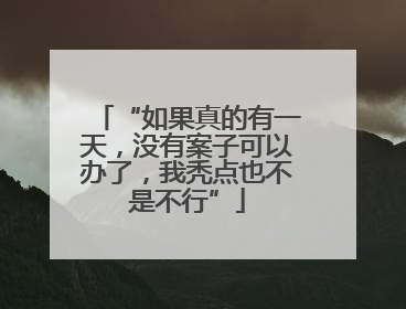 “如果真的有一天，没有案子可以办了，我秃点也不是不行”