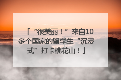 “很美丽！”来自10多个国家的留学生“沉浸式”打卡桃花山！