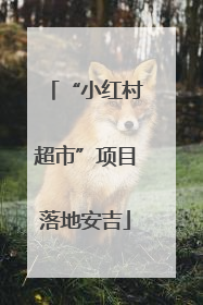 “小红村超市”项目落地安吉