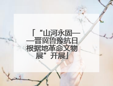 “山河永固——晋冀鲁豫抗日根据地革命文物展”开展