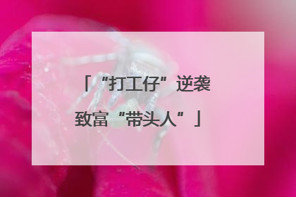 “打工仔”逆袭致富“带头人”