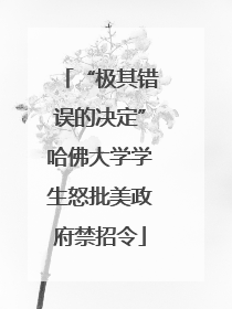 “极其错误的决定”哈佛大学学生怒批美政府禁招令