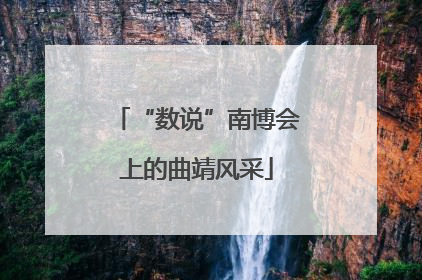 “数说”南博会上的曲靖风采