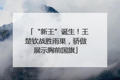 “新王”诞生！王楚钦战胜雨果，骄傲展示胸前国旗