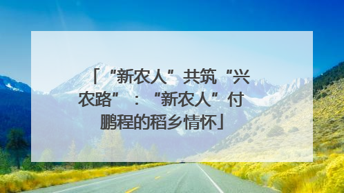 “新农人”共筑“兴农路”：“新农人”付鹏程的稻乡情怀