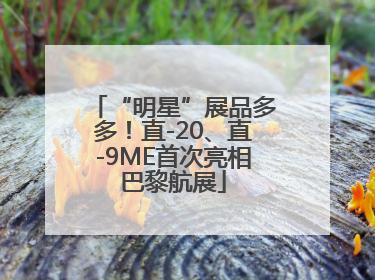 “明星”展品多多！直-20、直-9ME首次亮相巴黎航展