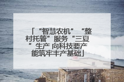 “智慧农机”“整村托管”服务“三夏”生产 向科技要产能筑牢丰产基础