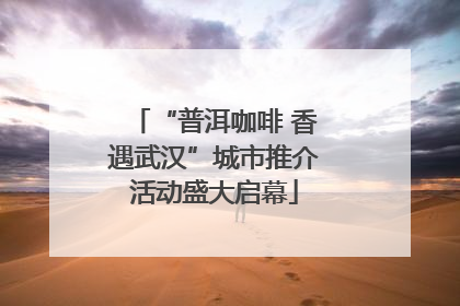 “普洱咖啡 香遇武汉”城市推介活动盛大启幕