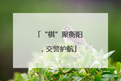 “棋”聚衡阳，交警护航