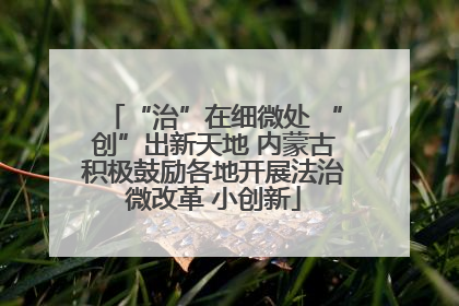 “治”在细微处 “创”出新天地 内蒙古积极鼓励各地开展法治微改革 小创新