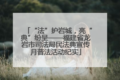 “法”护岩城，亮“典”纷呈——福建省龙岩市司法局民法典宣传月普法活动纪实