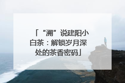 “溯”说建阳小白茶：解锁岁月深处的茶香密码