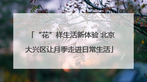 “花”样生活新体验 北京大兴区让月季走进日常生活