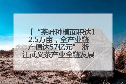 “茶叶种植面积达12.5万亩，全产业链产值达57亿元” 浙江武义茶产业全链发展“加速度”
