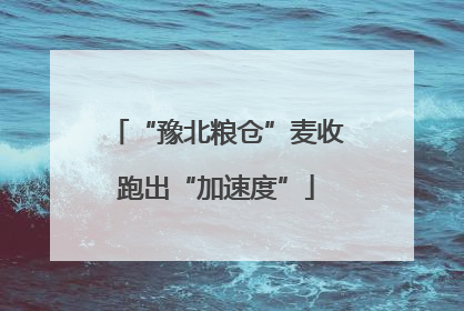 “豫北粮仓”麦收跑出“加速度”