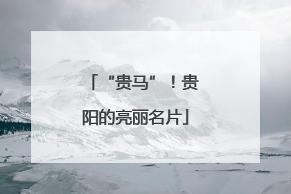 “贵马”！贵阳的亮丽名片