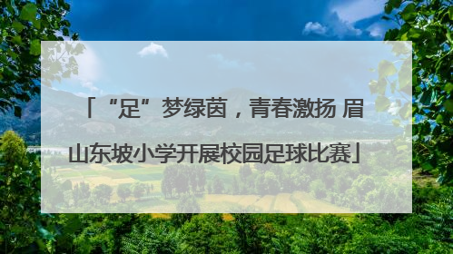 “足”梦绿茵，青春激扬 眉山东坡小学开展校园足球比赛