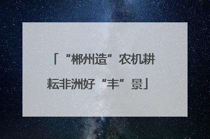 “郴州造”农机耕耘非洲好“丰”景