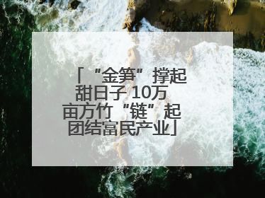 “金笋”撑起甜日子 10万亩方竹“链”起团结富民产业