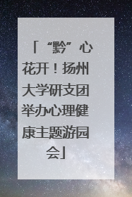 “黔”心花开！扬州大学研支团举办心理健康主题游园会