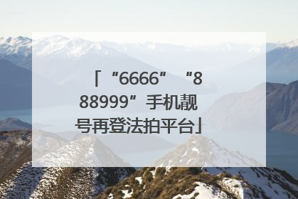 “6666”“888999”手机靓号再登法拍平台
