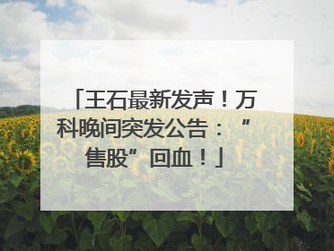 王石最新发声！万科晚间突发公告：“售股”回血！