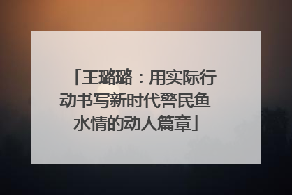 王璐璐：用实际行动书写新时代警民鱼水情的动人篇章
