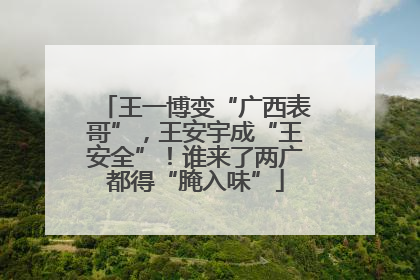 王一博变“广西表哥”，王安宇成“王安全”！谁来了两广都得“腌入味”