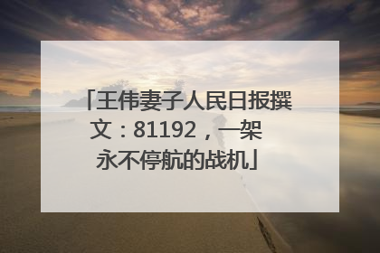 王伟妻子人民日报撰文：81192，一架永不停航的战机