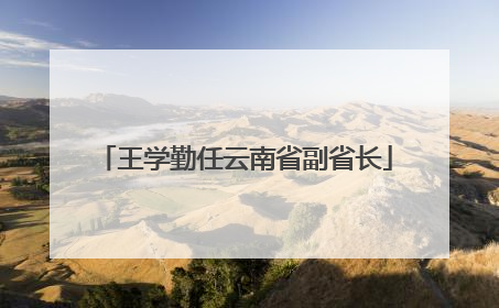 王学勤任云南省副省长