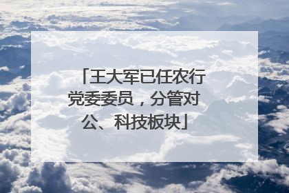 王大军已任农行党委委员，分管对公、科技板块